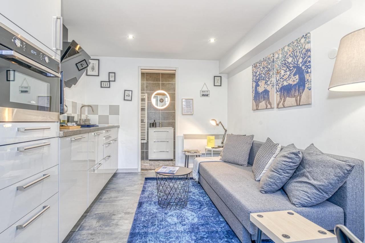 Appartement Le Petit Parfait Confort Gare Hamac Netflix Grenoble