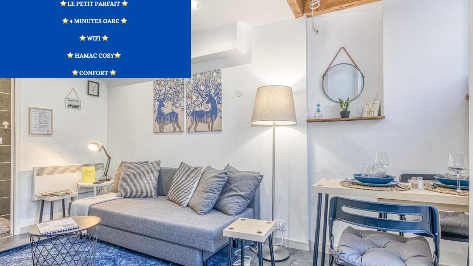 Le Petit Parfait Confort Gare Hamac Netflix Appartement