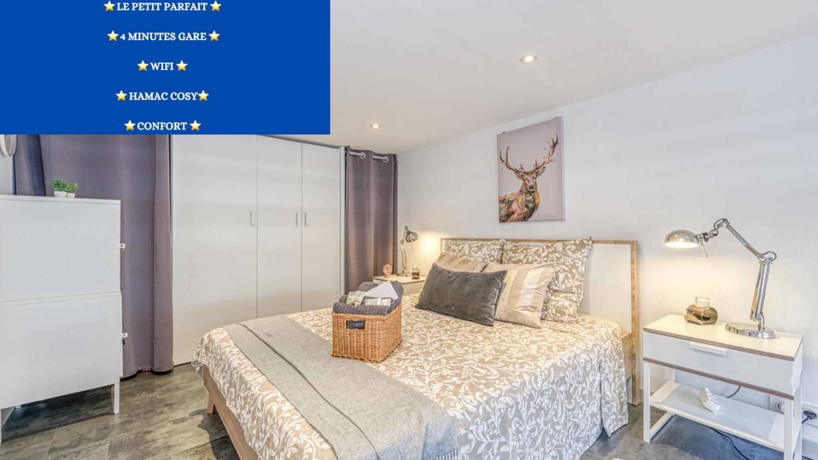 Le Petit Parfait Confort Gare Hamac Netflix Appartement Grenoble