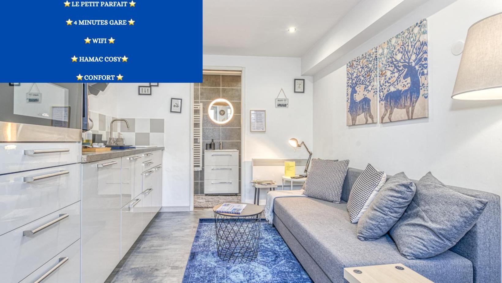 Le Petit Parfait Confort Gare Hamac Netflix Apartment